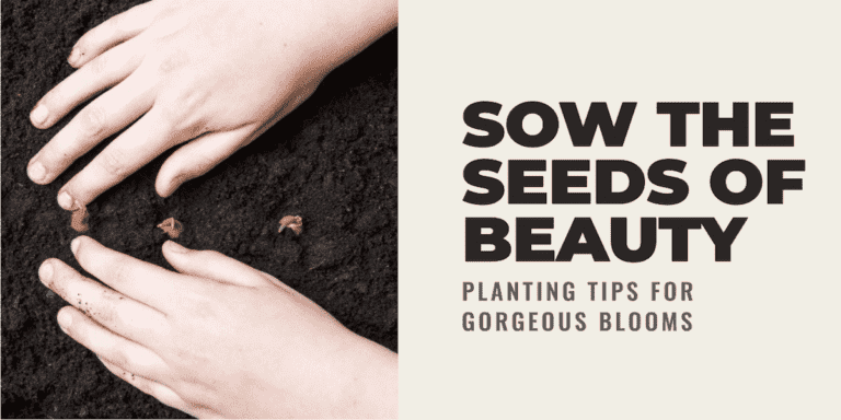 When to Plant Flower Seeds Best time to plant flower seeds