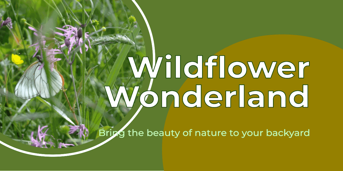 Creating wildflower meadows