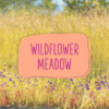 wildflower-meadow