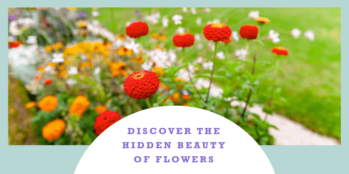 Discover the Hidden Beauty of Flowers