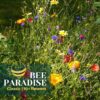Classic Butterfly Garden Seed Mix