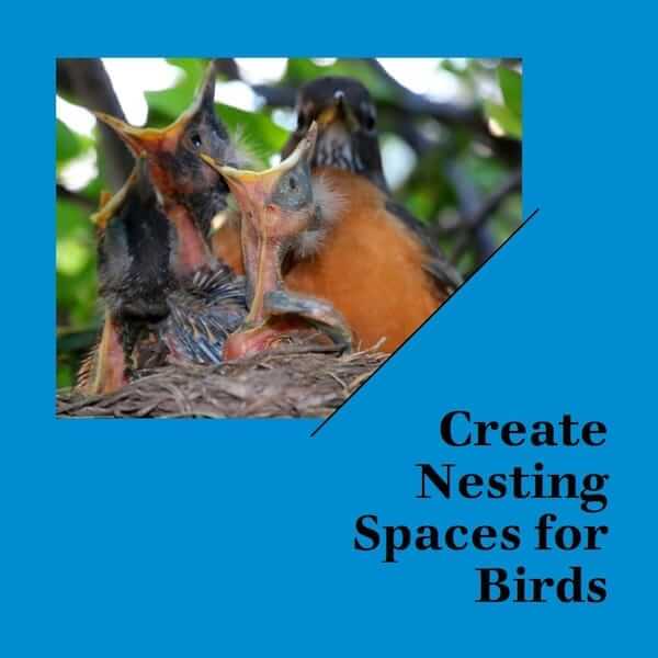 Create Nesting Spaces for Birds