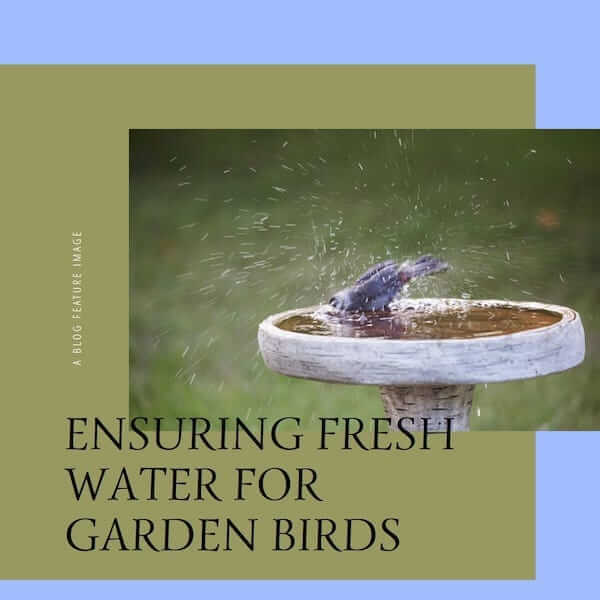 Ensure Fresh Water birds garden