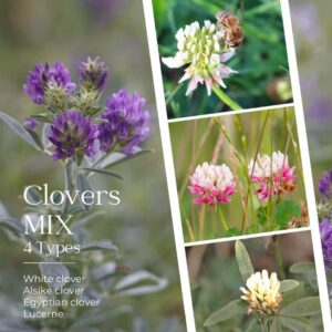 Special Mixed Clover