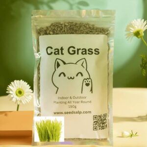 Packet of cat grass seeds next to a bowl of grown cat grass